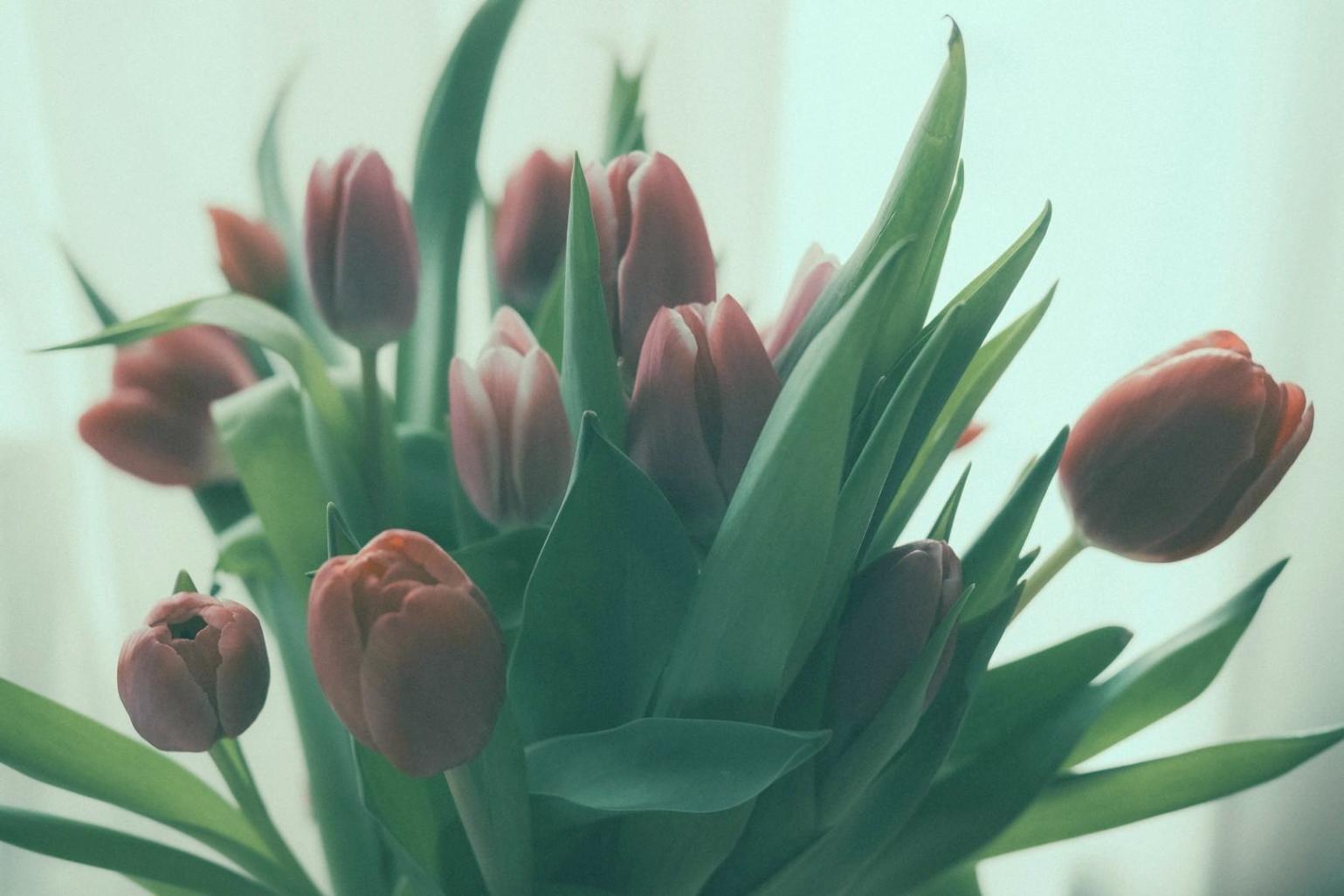 Selección de materiales florales por temporada